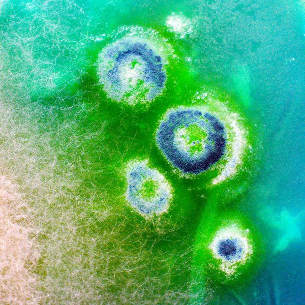 KTN Biofilms Workshop & Report – Now Available for Download