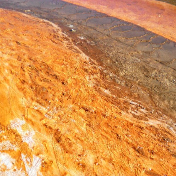 NBIC Proud to Announce Funding of 25 New Projects Tackling Biofilms