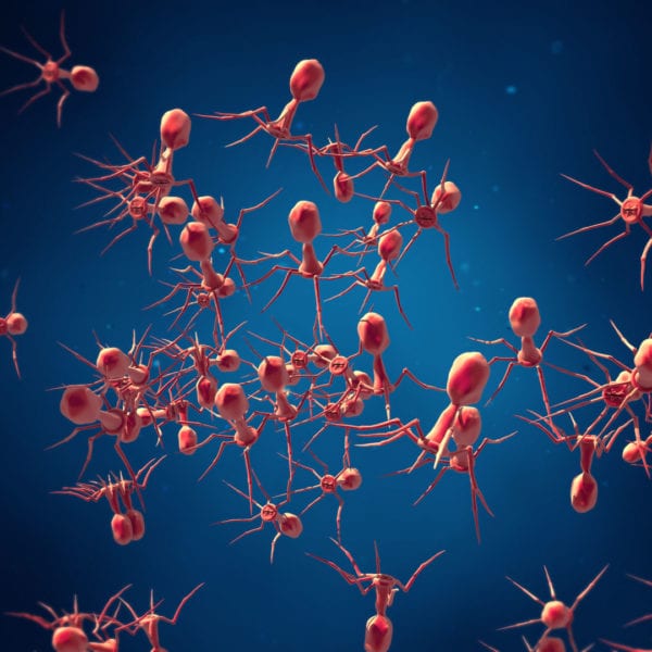 Bacteriophages: the good guys on the viral block