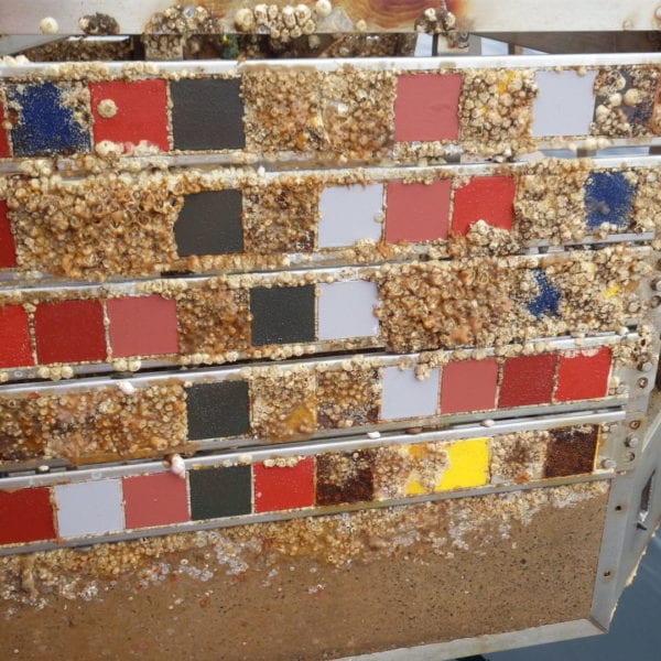 Marine Anti-Fouling: a force for environmental good and commercial opportunity