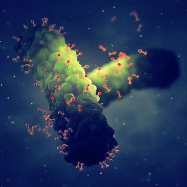 Is bacteriophage technology the innovation to make food safe?