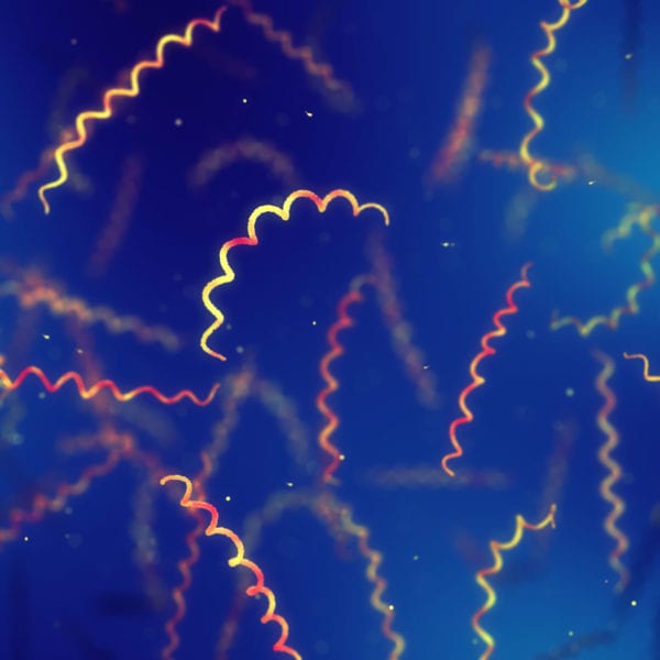 NBIC 4th Proof of Concept Call – Now Open!