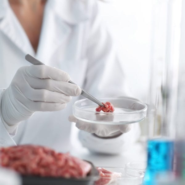 Watch: Microbes and Biofilms in the Food Industry Webinar