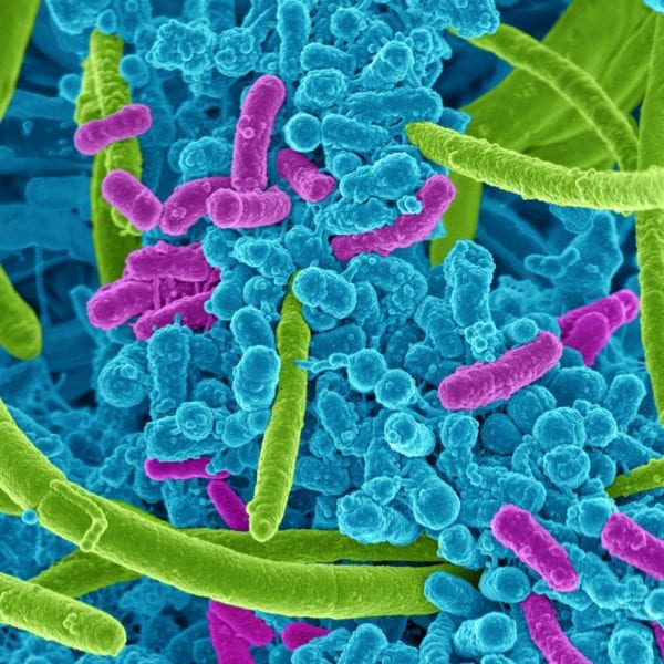 KTN Microbiome Strategic Roadmap