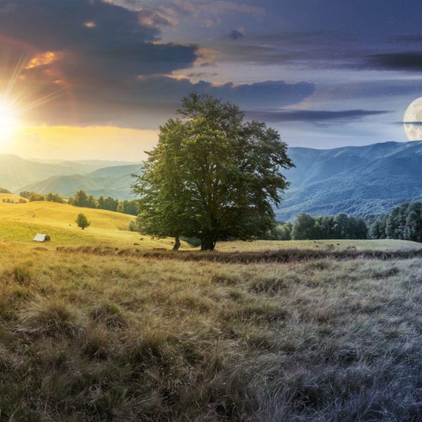 Watch: Bioaerosol Characterisation, the Air Microbiome and Covid-19 Transmission Webinar