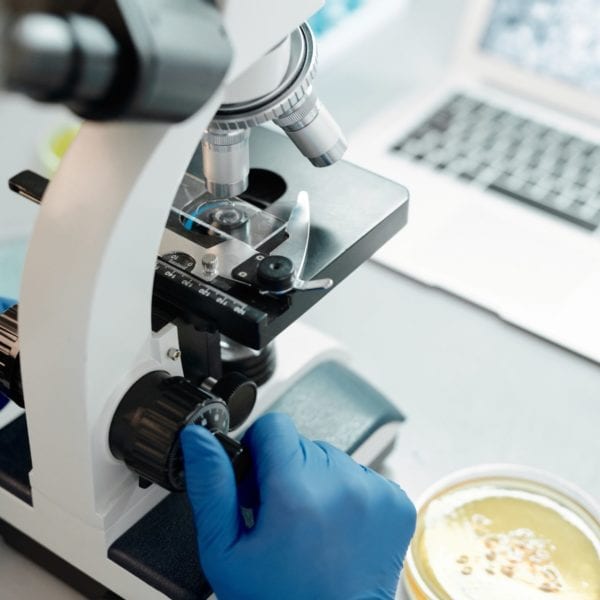 Innovations Against AMR Summit, 21 November 2025