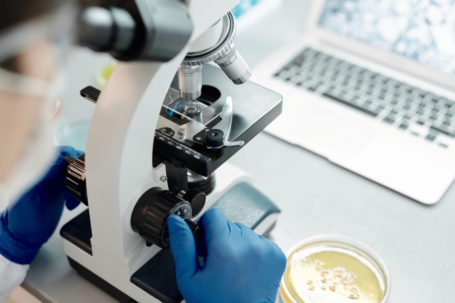 AMR funding