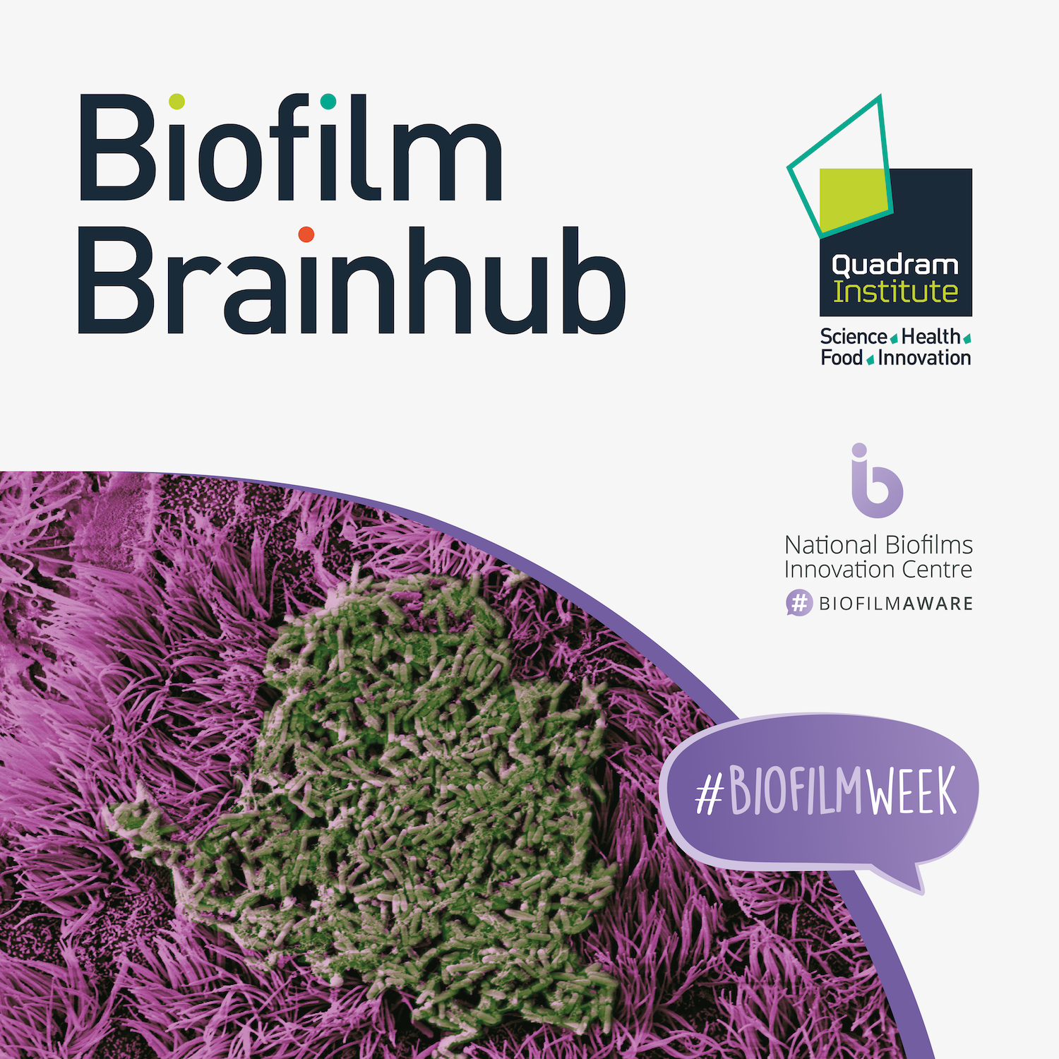 Biofilm Brainhub