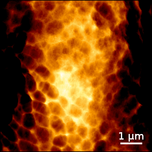 ID 9.2 Biofilm Photography