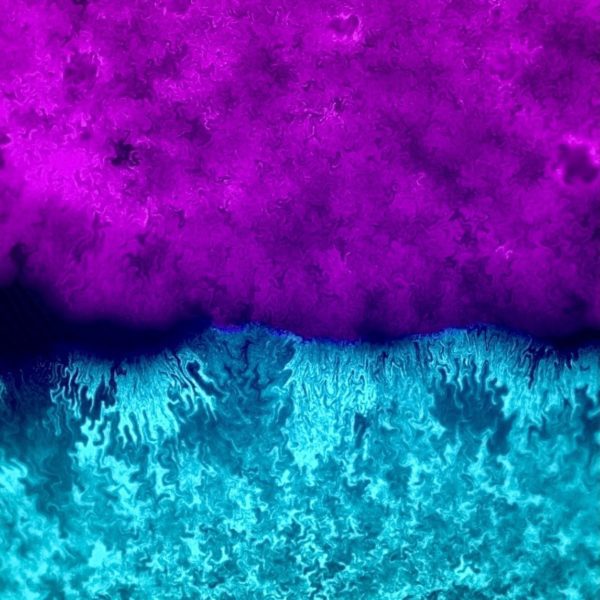 NBIC Annual Report 2022