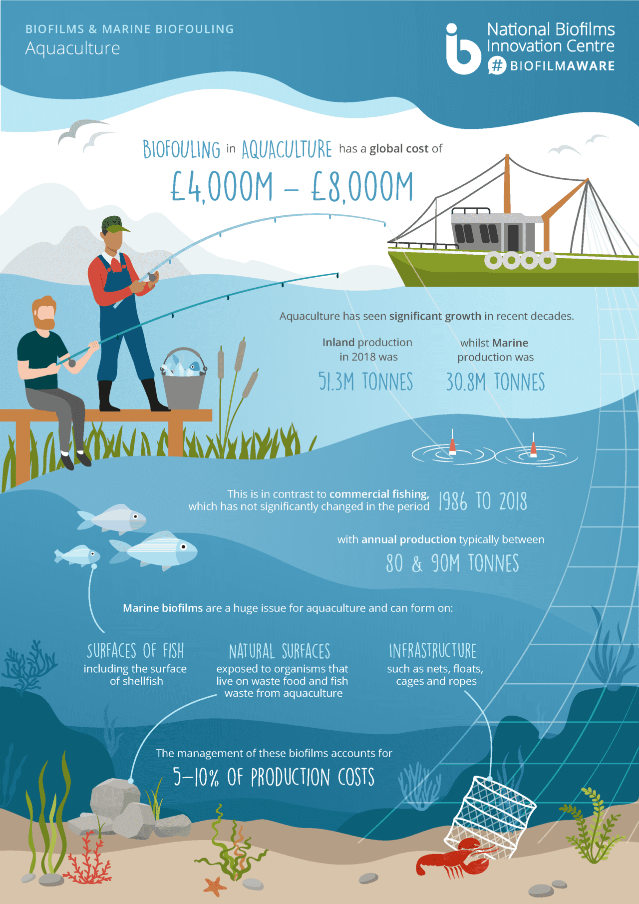 infographic-4-marine-biofouling