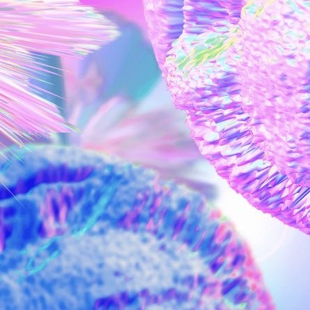 Reservoir Microbiology Forum, 10-20 November 2025