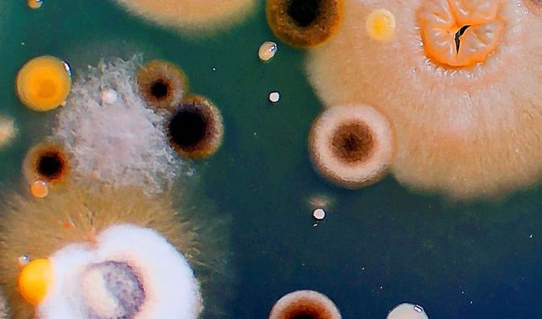 Reservoir Microbiology Forum 2025