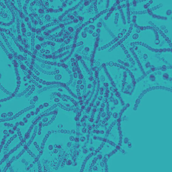 NBIC and Partners Launch £644K Microbiome Innovation Network