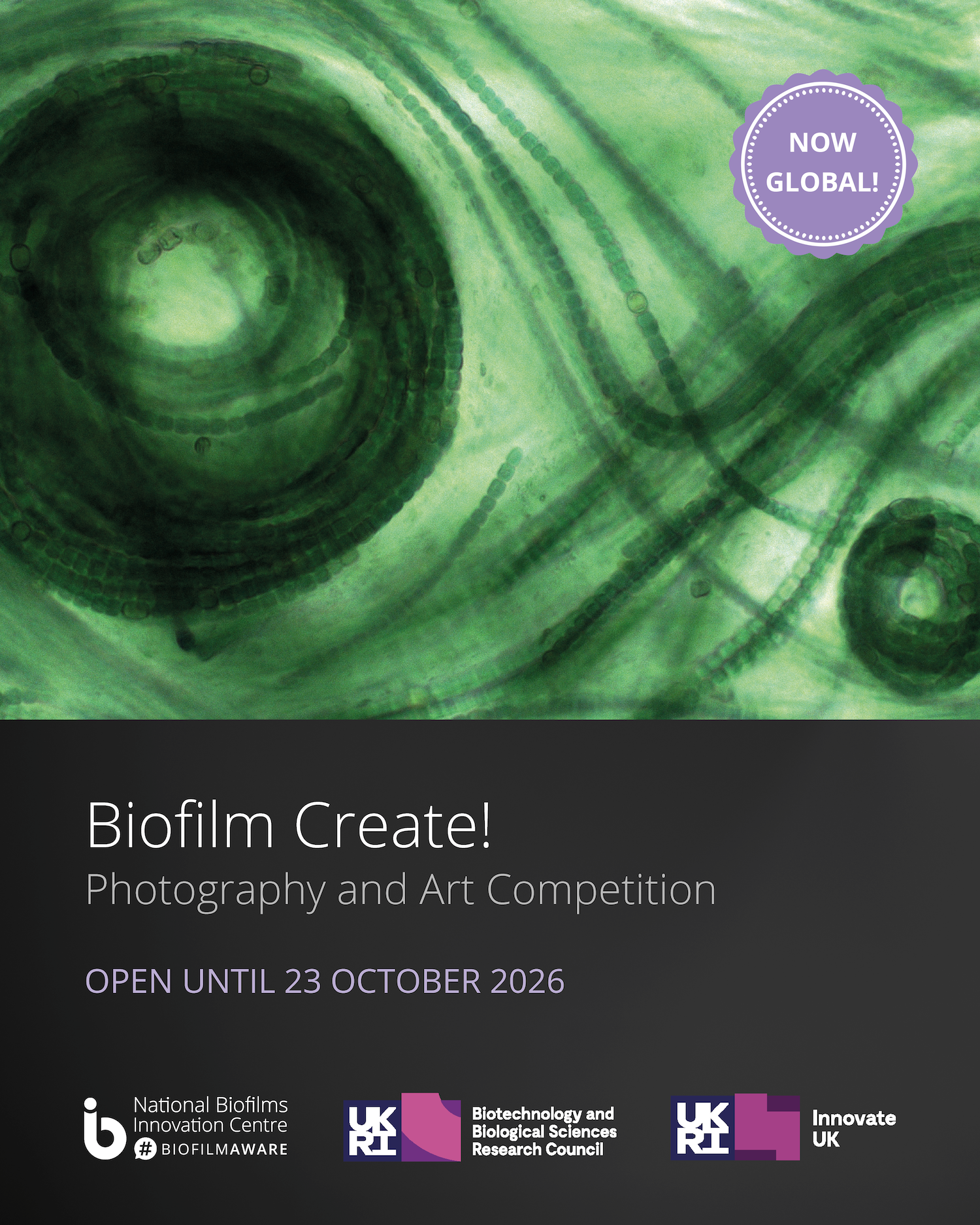 Biofilm Create 2026 IG Asset 2 biofilm create competition