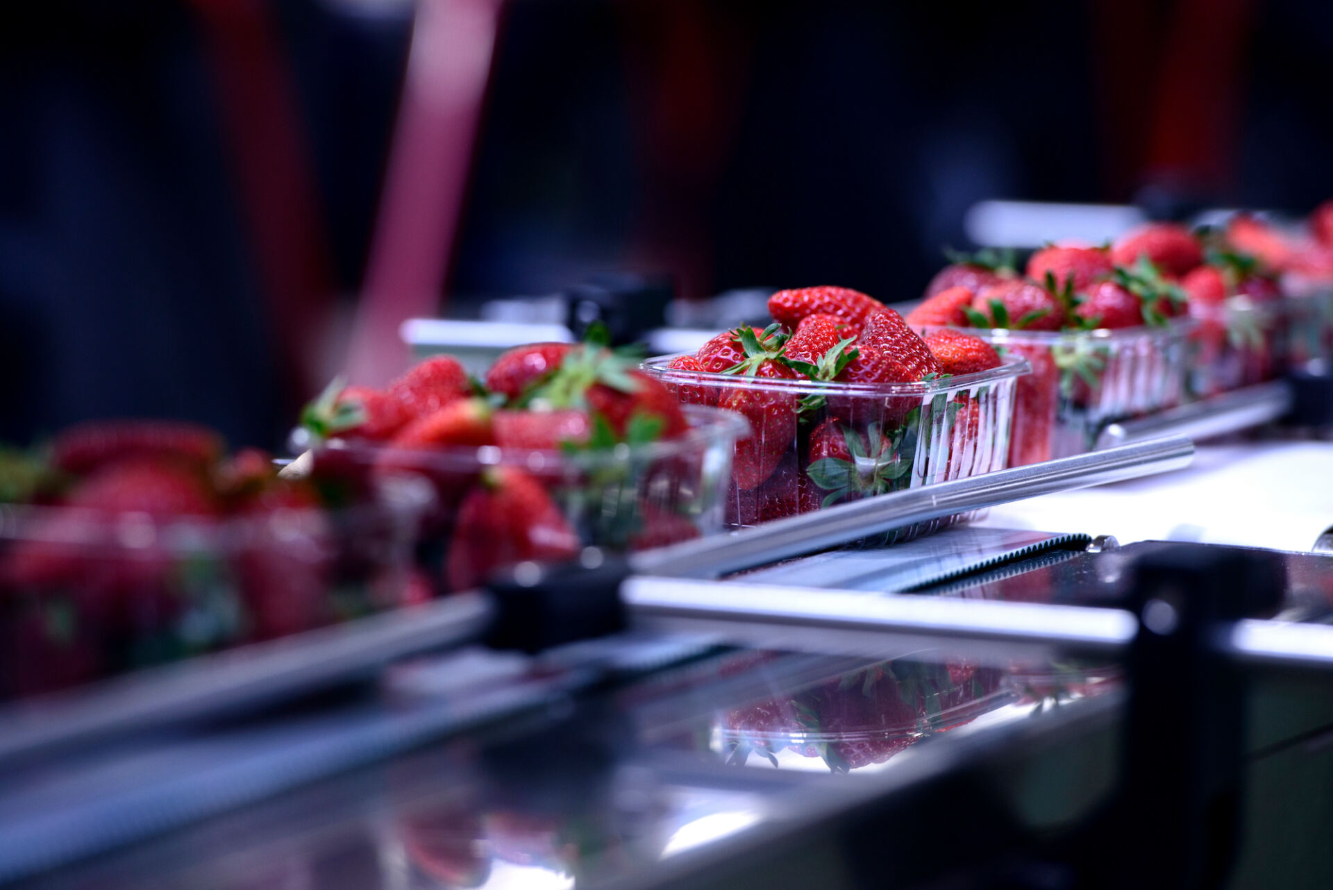 Biofilm Methodologies and Food Sector Regulation