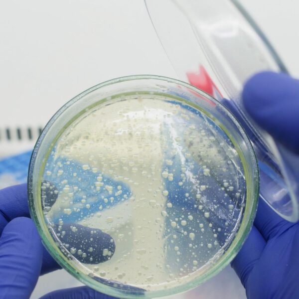 Aarhus University PhD: Catalytic DNA in Biofilms