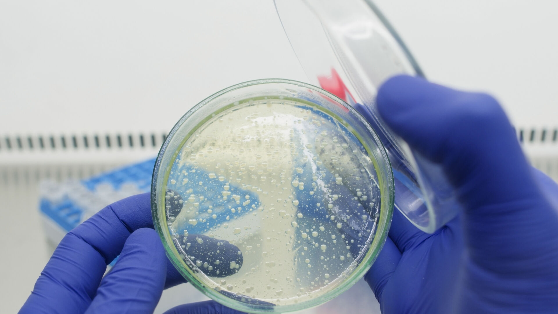 PhD Microbiologically Influenced Corrosion
