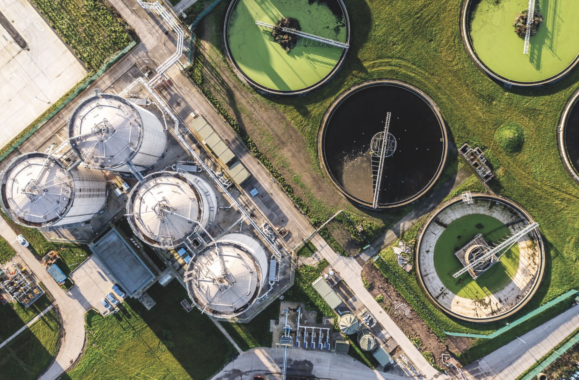 Rapid Sustainable Diagnostics