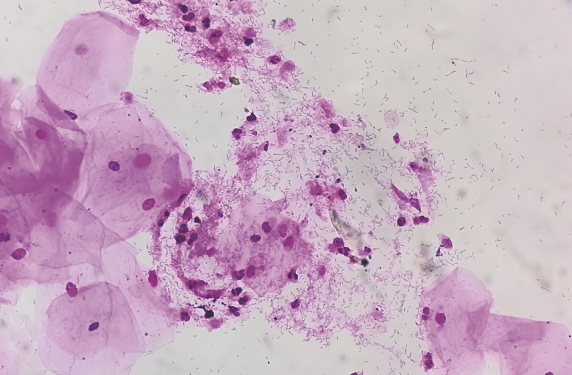 Rapid Sustainable Diagnostics