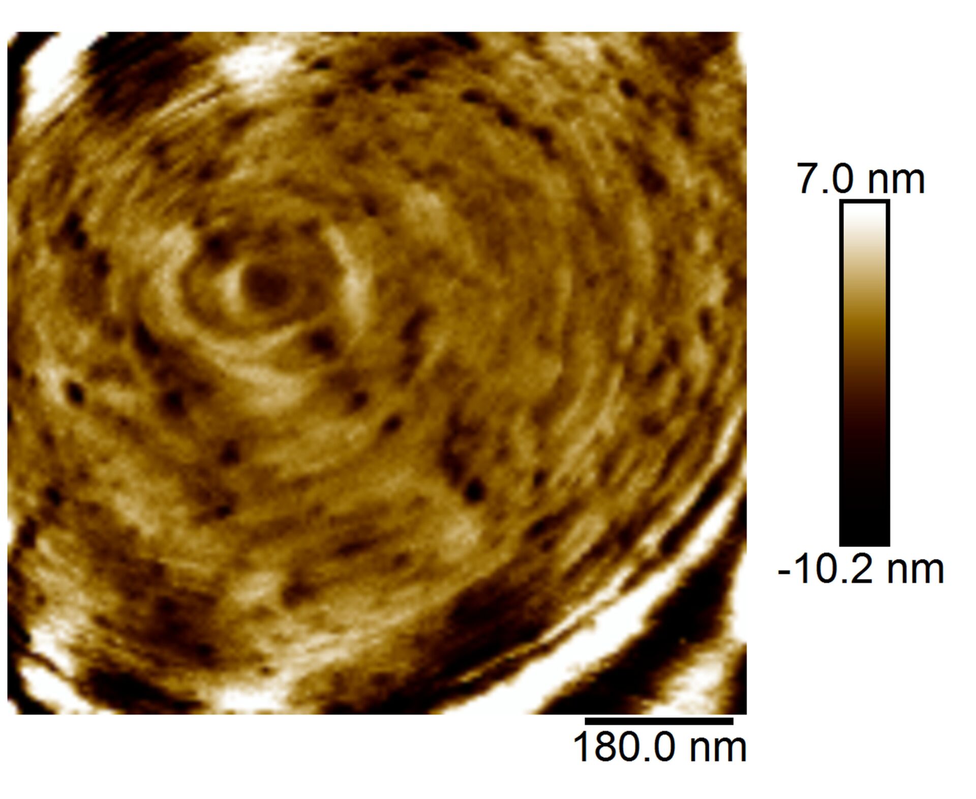 ID 19 Biofilm Photography