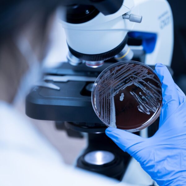 NBIC Awards £357,891 to Seven Industry-Led Projects Tackling Biofilm Challenges