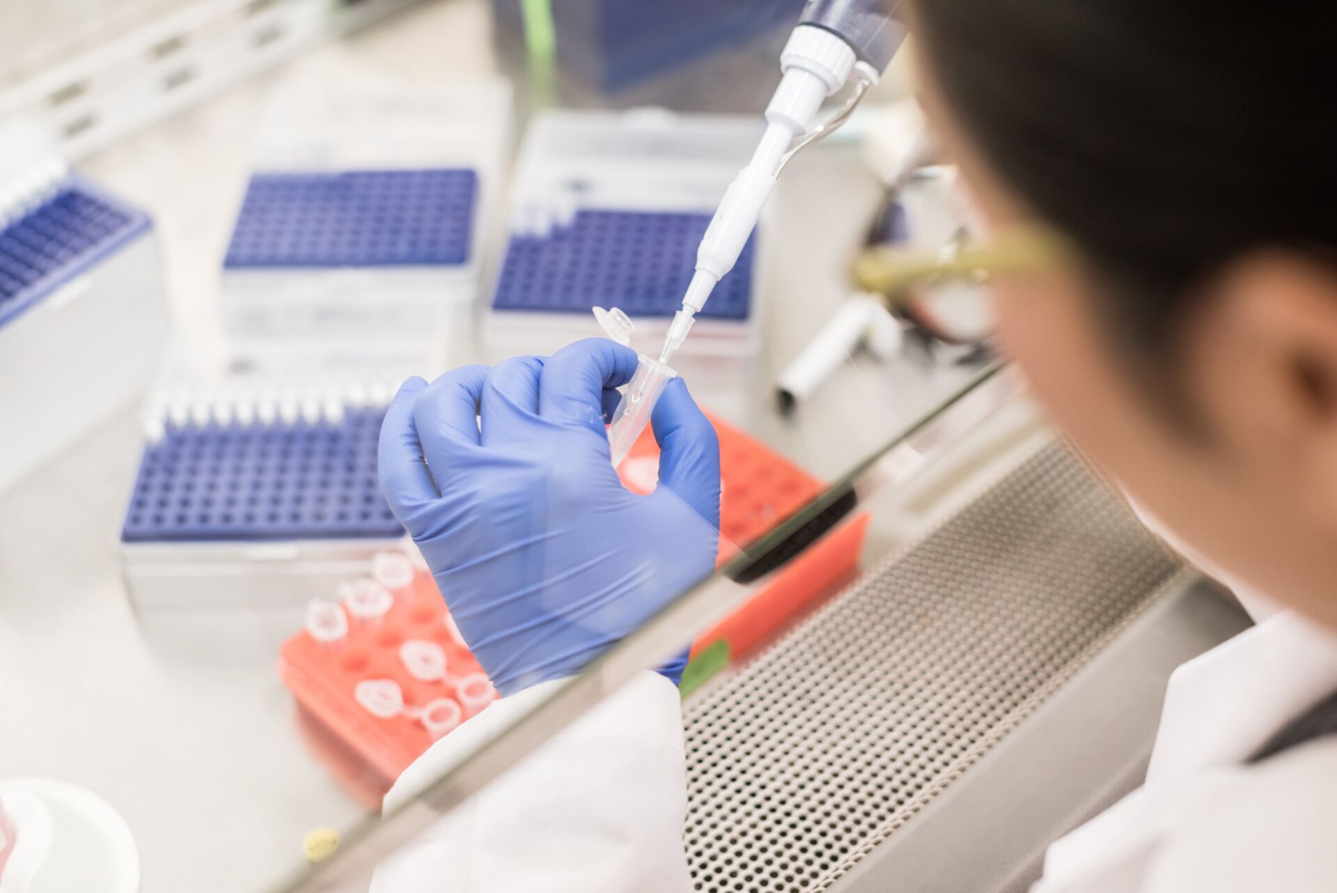 working in the biosafety cabinet Biofilm Alliance Conference Report