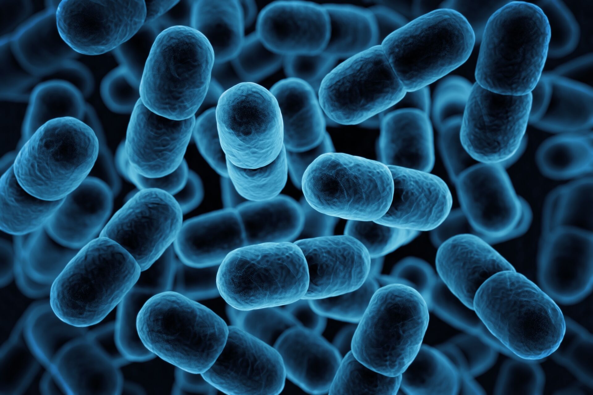 Blue microbes RMF 2026