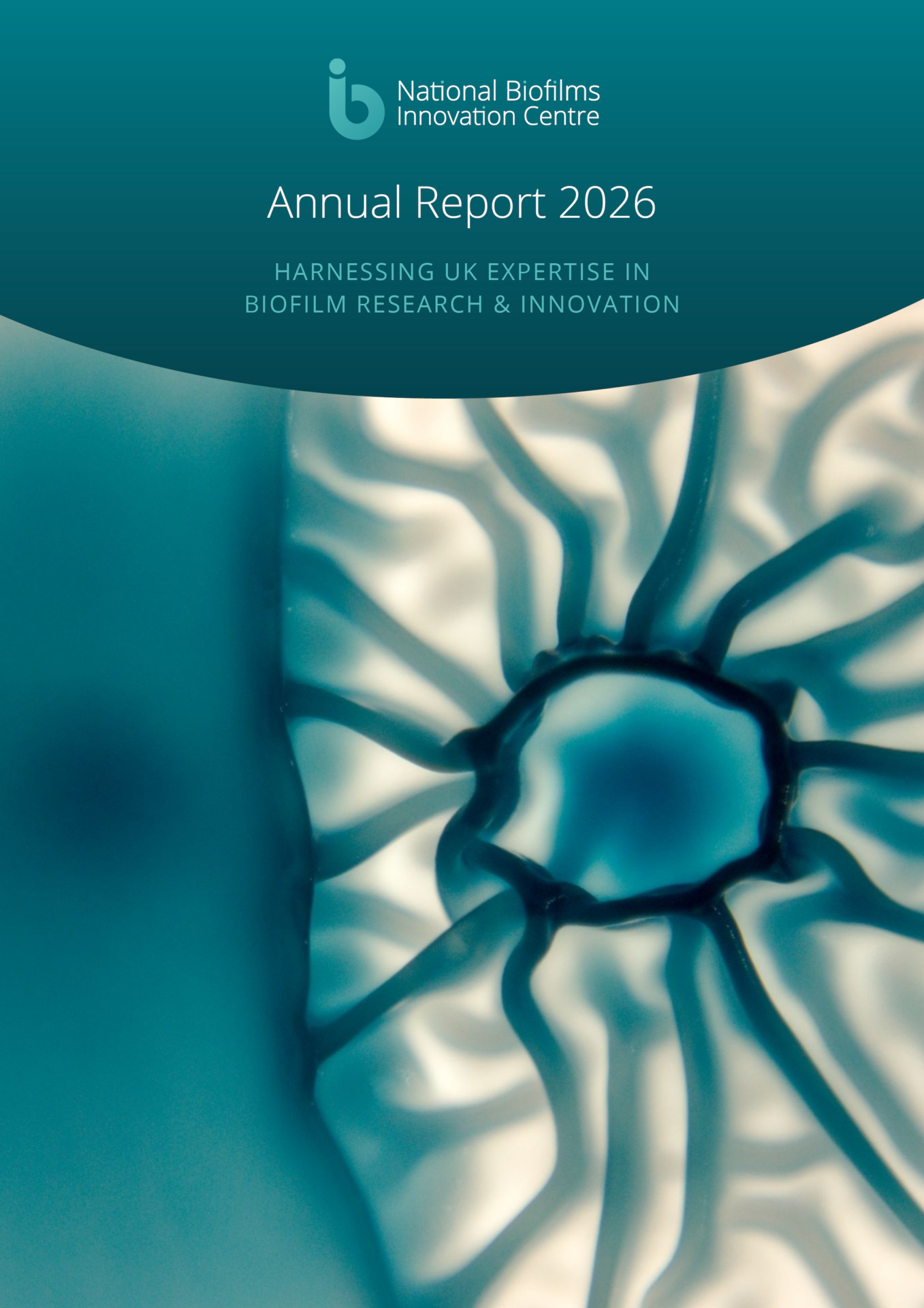 annual report
